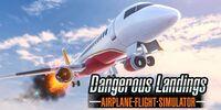 Portada oficial de Airplane Flight Simulator : Dangerous Landings para Switch