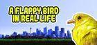 Portada oficial de de A Flappy Bird in Real Life para PC