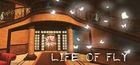 Portada oficial de de Life of Fly para PC