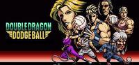 Portada oficial de Double Dragon Dodgeball para PC