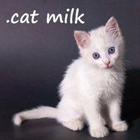 Portada oficial de .cat Milk para Switch