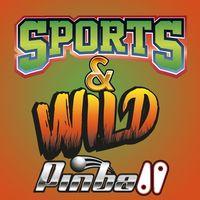 Portada oficial de Sports & Wild Pinball para Switch