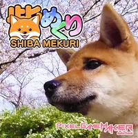 Portada oficial de Pixel Game Maker Series Shiba Mekuri para Switch