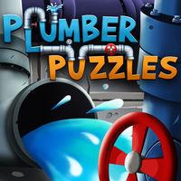 Portada oficial de Plumber Puzzles para Switch