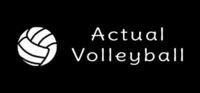 Portada oficial de Actual Volleyball para PC