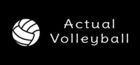 Portada oficial de de Actual Volleyball para PC