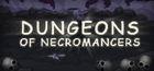 Portada oficial de de Dungeons of Necromancers para PC