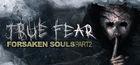 Portada oficial de de True Fear: Forsaken Souls Part 2 para PC