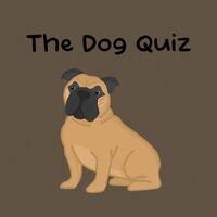 Portada oficial de The Dog Quiz para PS5