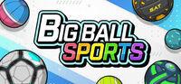 Portada oficial de BIG BALL SPORTS para PC