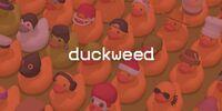 Portada oficial de Duckweed para Switch