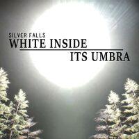 Portada oficial de Silver Falls White Inside Its Umbra para Wii U