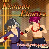Portada oficial de Pixel Game Maker Series KINGDOM FIGHTER para Switch