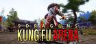 Portada oficial de de 9Dragons : Kung Fu Arena para PC