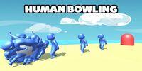 Portada oficial de Human Bowling para Switch