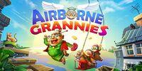 Portada oficial de Airborne Grannies para Switch