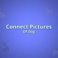 Portada oficial de Connect Pictures Of Dog para PS5