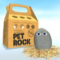 Portada oficial de Pet Rock para Switch