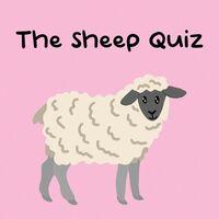 Portada oficial de The Sheep Quiz para PS5