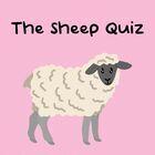 Portada oficial de de The Sheep Quiz para PS5