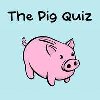 Portada oficial de The Pig Quiz para PS5