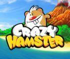 Portada oficial de de Crazy Hamster DSiW para NDS