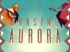 Portada oficial de de Chasing Aurora eShop para Wii U