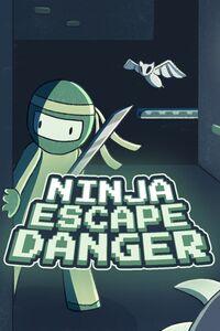 Portada oficial de Ninja Escape Danger para Xbox Series X