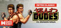 Portada oficial de Retro Classix: Bad Dudes para PC