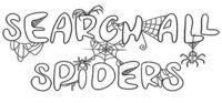 Portada oficial de SEARCH ALL - SPIDERS para PC