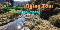 Portada oficial de Korean Drone Flying Tour Sogeumgang para Switch