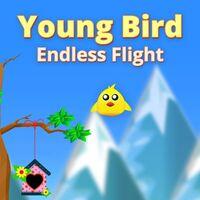 Portada oficial de Young Bird Endless Flight para PS5