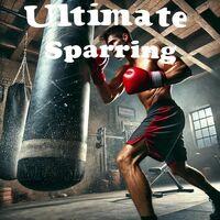 Portada oficial de Ultimate Sparring para PS5