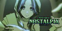 Portada oficial de Perfect Hand of Nostalpix para Switch