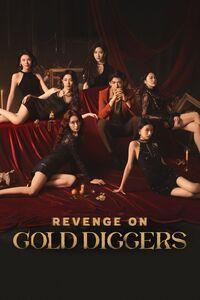 Portada oficial de Revenge On Gold Diggers para Xbox Series X