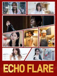 Portada oficial de Echo Flare para PC