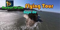 Portada oficial de Korean Drone Flying Tour Soya-do para Switch