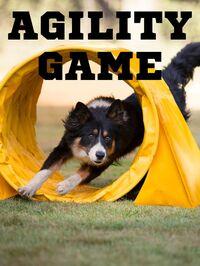 Portada oficial de Agility Game para PC