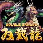 Portada oficial de de Double Dragon para Android