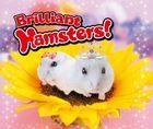 Portada oficial de de Brilliant Hamsters! eShop para Nintendo 3DS