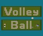 Portada oficial de de Volleyball CV para Wii U