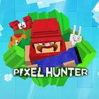 Portada oficial de de Pixel Hunter PSN para PSVITA