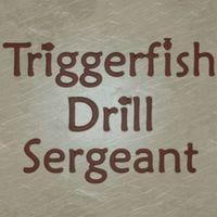 Portada oficial de Triggerfish Drill Sergeant para PC