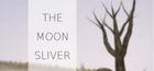 Portada oficial de de The Moon Sliver para PC