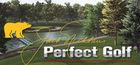 Portada oficial de de Perfect Golf para PC