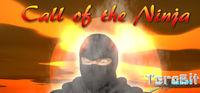 Portada oficial de Call of the Ninja! para PC