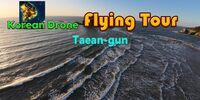 Portada oficial de Korean Drone Flying Tour Taean-gun para Switch