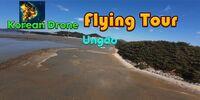 Portada oficial de Korean Drone Flying Tour Ungdo para Switch