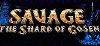 Portada oficial de SAVAGE: The Shard of Gosen para PC