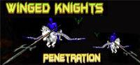 Portada oficial de Winged Knights: Penetration para PC